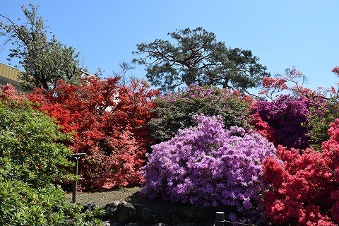 DSC_0039.jpg