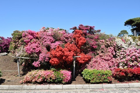 DSC_0048.jpg