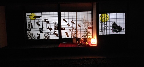 IMG_20230929_192925.jpg