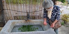 IMG_20240718_110652_BEAUTY.jpg