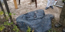 IMG_20240718_110818_BEAUTY.jpg