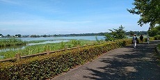 IMG_20240718_133758_BEAUTY.jpg