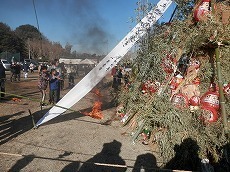 P1010574.jpg