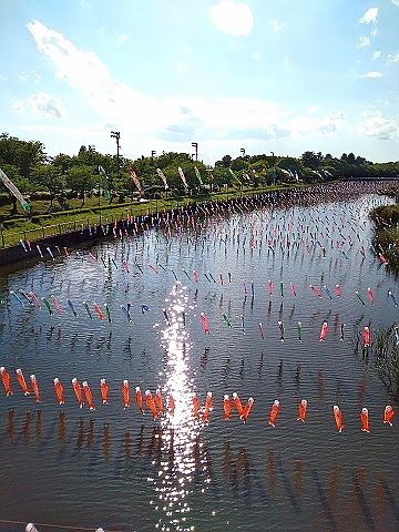 conv0006.jpg